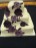 weddingcakes32